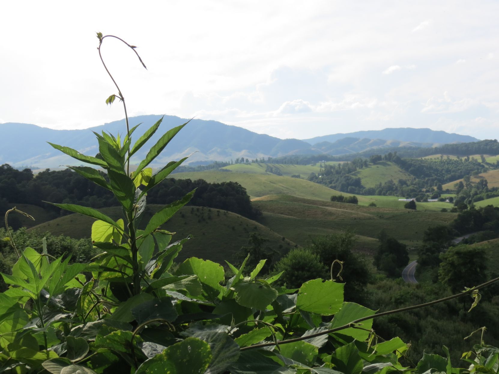 Scenic Virginia: Saturday, April 16, 2016
